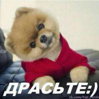 Виолетта 