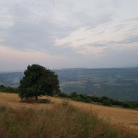 Алсу Хакиева