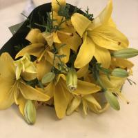 Мария Цветкова