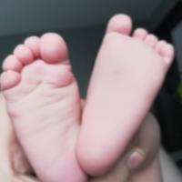 1234