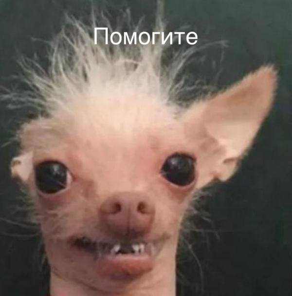 post image 4