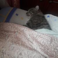 Оксана Василькина