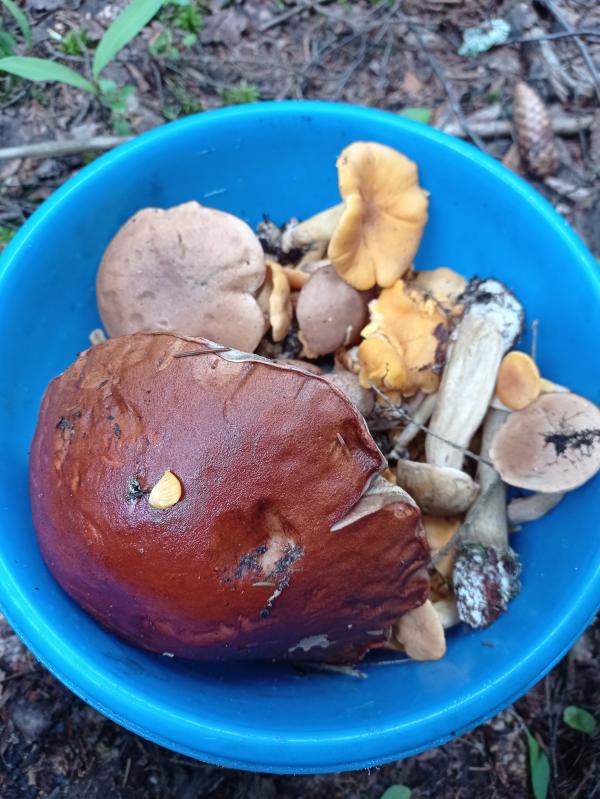 post image 4