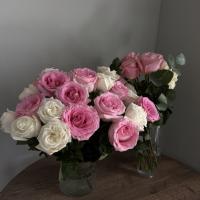 𝒴𝓊𝓁𝒾𝒶𝓃𝒶🌷