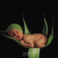 baby1333