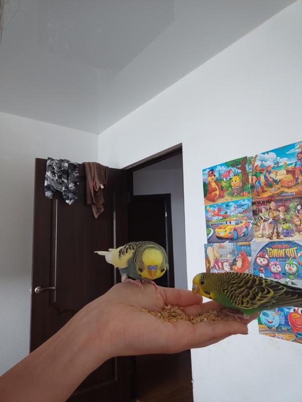 post image 1