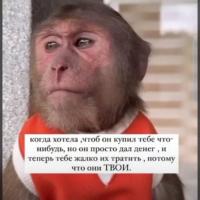 барбарик