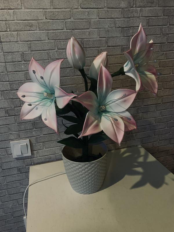 post image 1