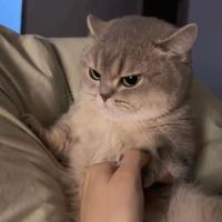 Pati