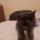 fish_cat89