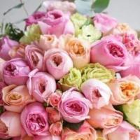 rose_000