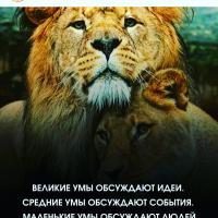 мадина