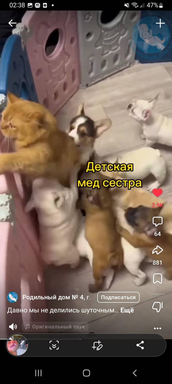 post image 5