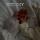 khursheda_s