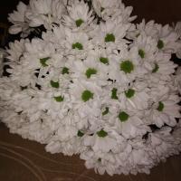 Марина
