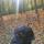 sam_26