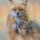 fox-mammy