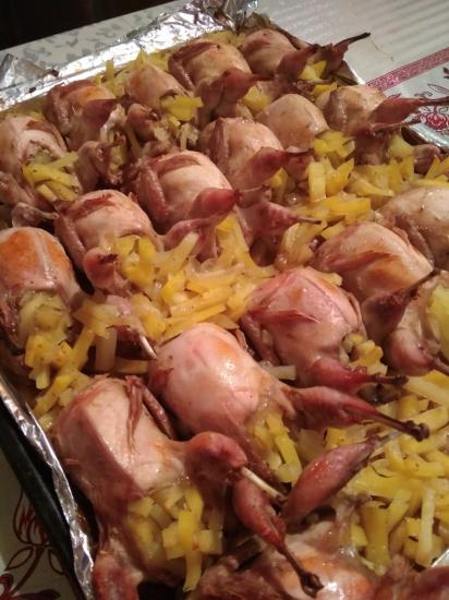 Самое вкусное и полезное мясо перепелов.