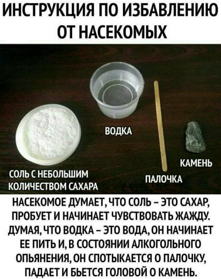 вроде лето закончилось,а мухи,мошки,комары