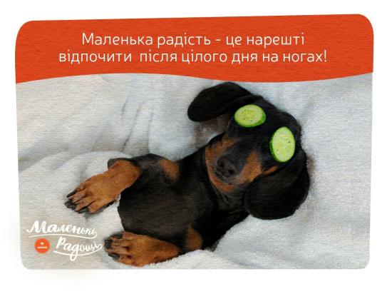 Чисто вот интерес. Вы в супермаркете,когда