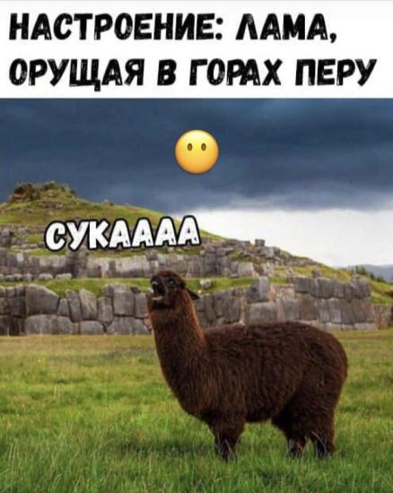 кстати! Я сегодня ночью прокручивала