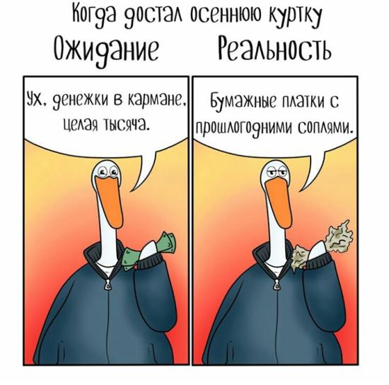 обожаю гуся😂😂😂кто,что находил?чаще