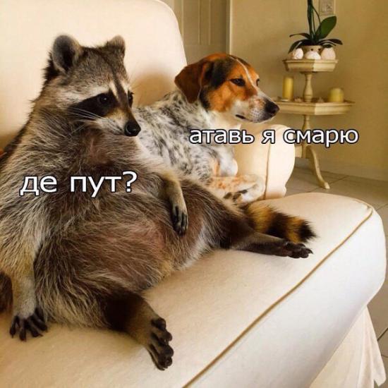 Ваще я редко рекомендую чтиво и