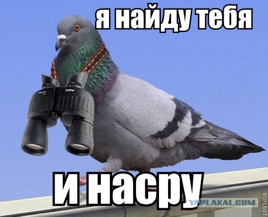 Да что ж это такое?!. 😬 Меня третий