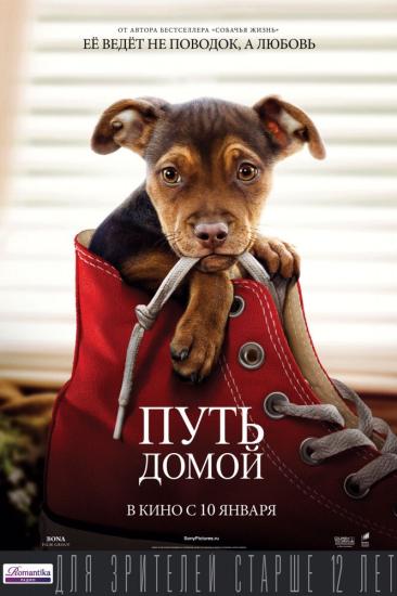 Если вы любите фильмы о животных,