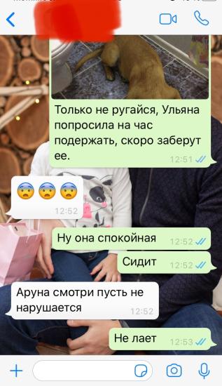 Журттан калмайык 🤣