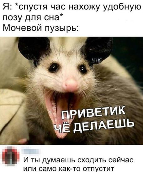 Знакомо?🤣🤣🤣🤣 Мне ддааа🤣