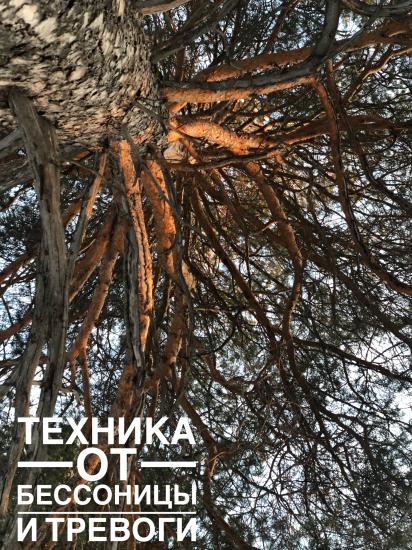 Что делать, если вы проснулись