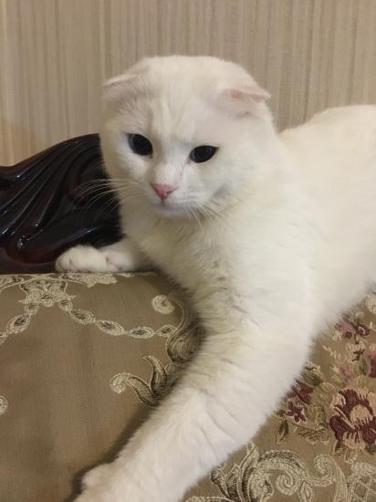 @irada.kk , меня сегодня врач-