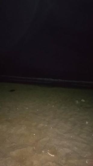 Сижу на море под шум волн и песни
