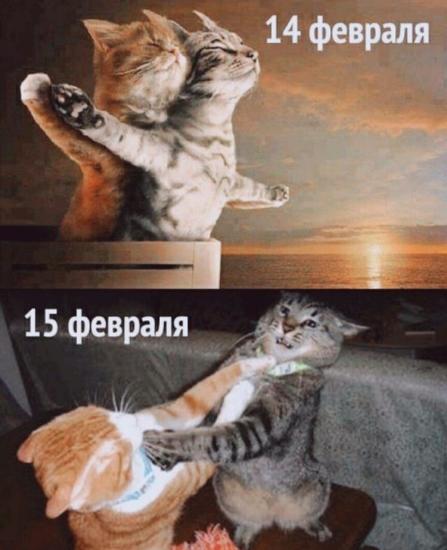 Ну ффффсее 14 февраля закончилось,