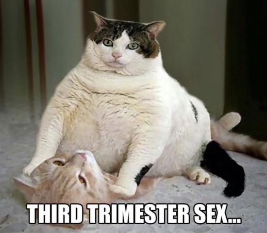 How I feel lately π