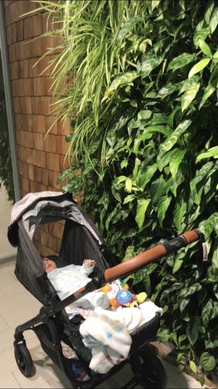 Затестили Valco Baby Snap 4 Ultra