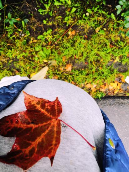 Осень❤️🍁🍂