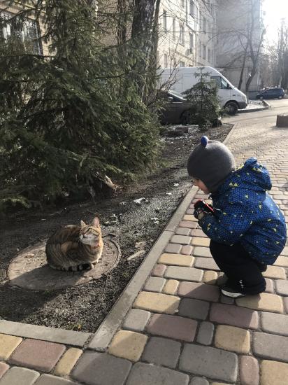 МАТРАС! Кто недавно покупал матрас