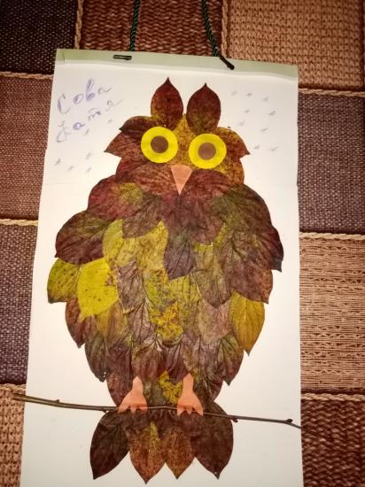 Наша сова Катя. 😄😊 Младший дал