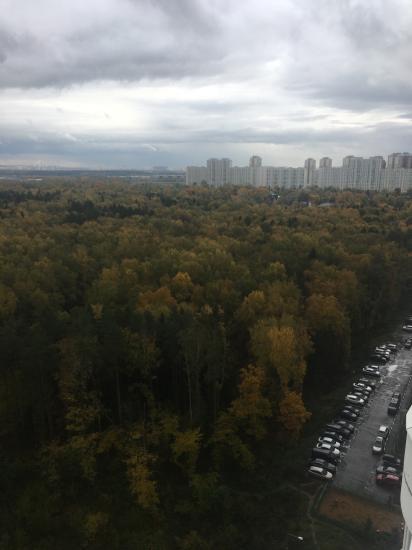 Дамы, нужна ваша помощь! Какой