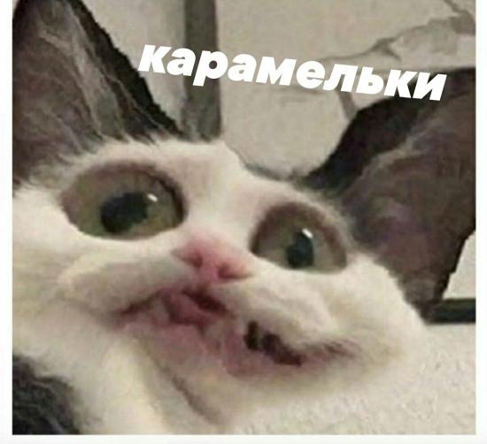 Стараюсь ходить в магазин без детей,