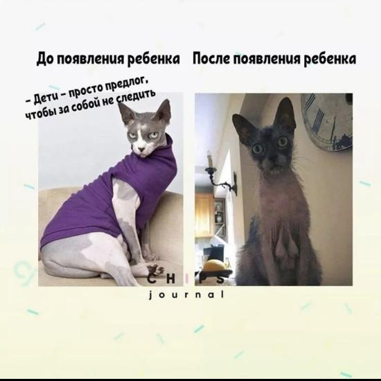 Пост ни о чём, просто очень нравится