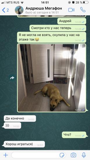 Я пыталась 🤣провал!