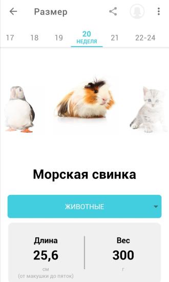 20ая неделя 💝🤞 До сих пор не знаем