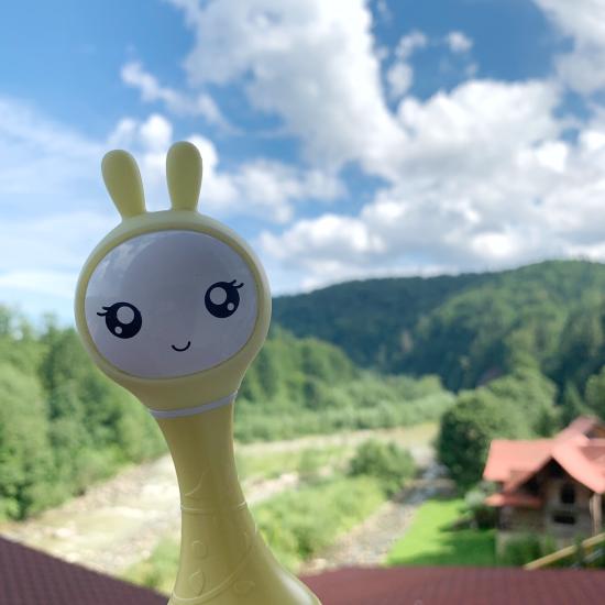 Продолжаю серию обзоров #карпаты_glibamama