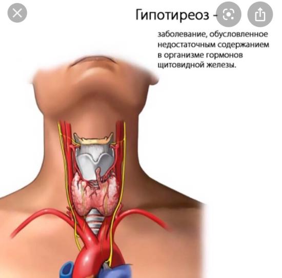 Девочки всем доброй ночи ☺️🙏🏼 Давно