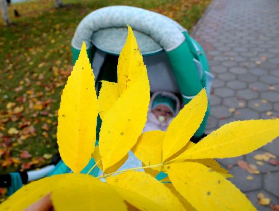 Первая осень моей малышки, через