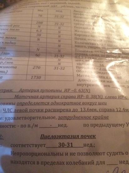 На УЗИ сталкивались с ПИЕЛОЭКТАЗИЕЙ