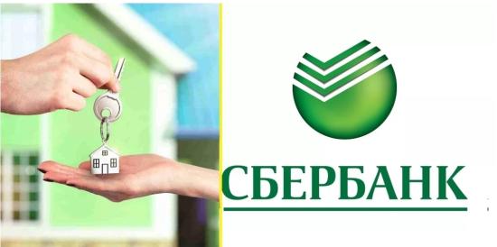 Вот нет бы спать, но нет же...лезут